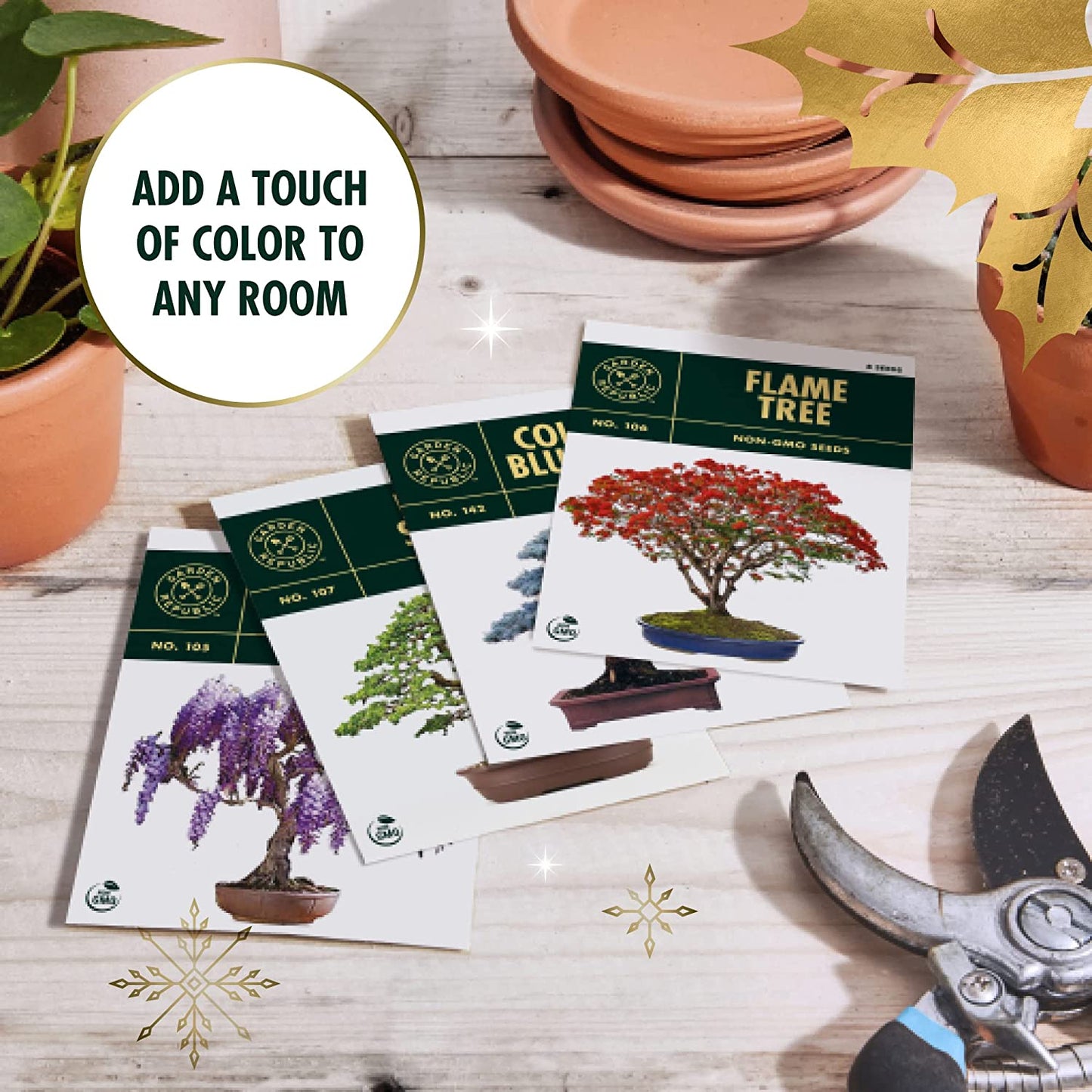 Four pamphlets are laying on a table related to the bonsai starter kit. There is text which reads, 'Add a touch of color to any room.'