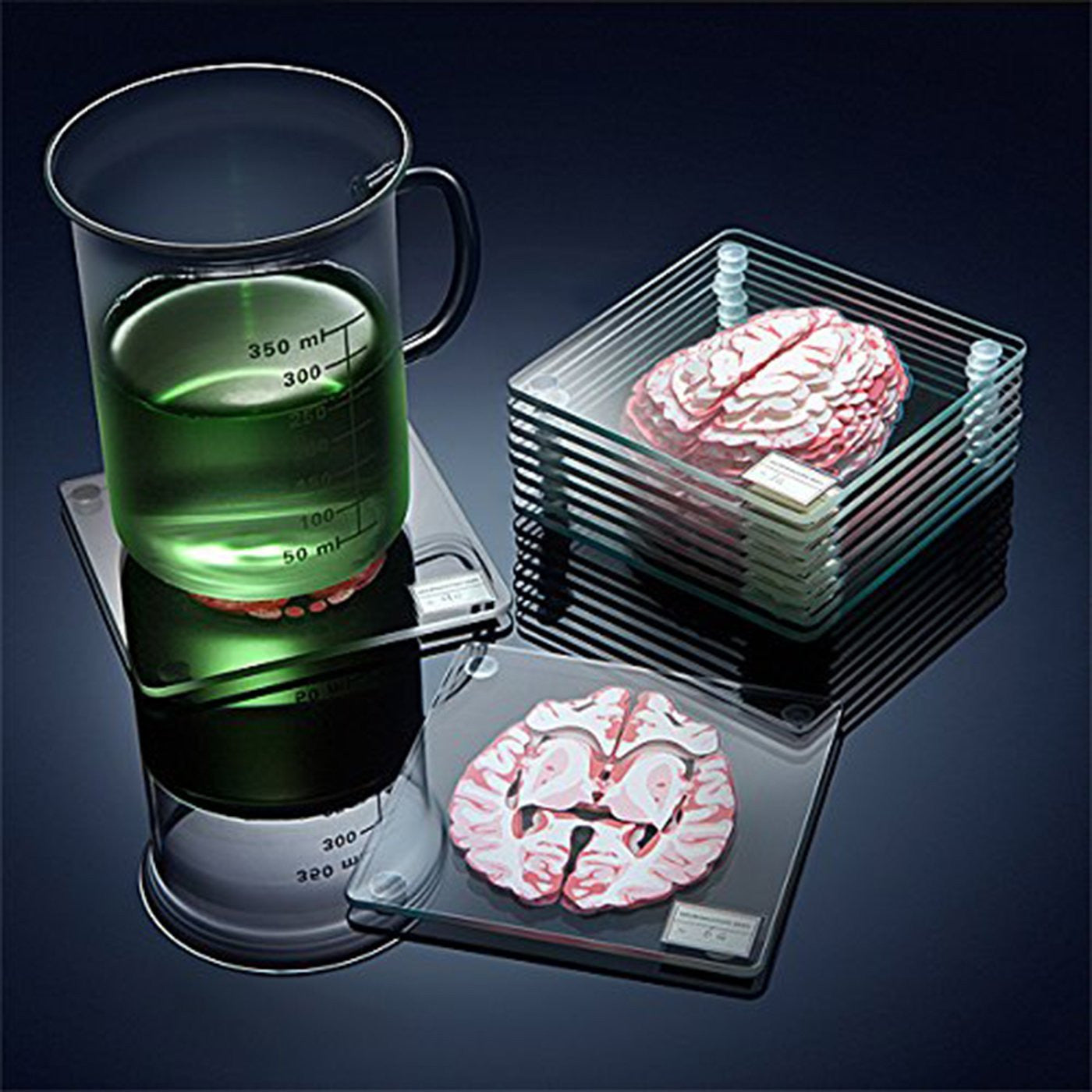 Brain Specimen Coasters - OddGifts.com