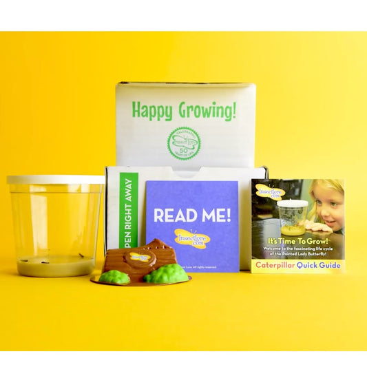 A butterfly growing kit which includes a number of items including a mesh habitat and a caterpillar growing guide.