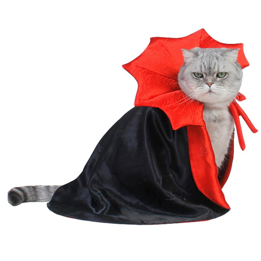 A grey cat wearing a black and red vampire costume.