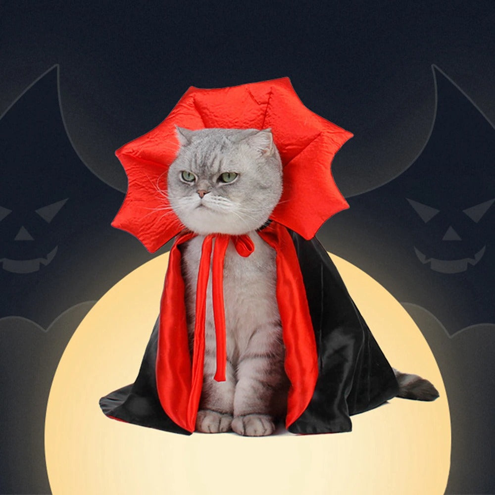 A cat sitting while wearing a black and red vampire costume.