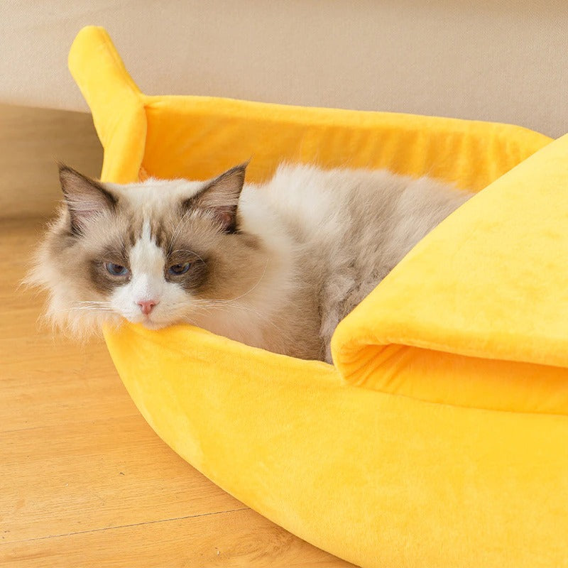 A cute ragdoll cat in a banana shaped cat bed