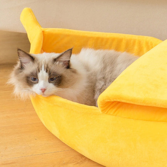 A cute ragdoll cat in a banana shaped cat bed