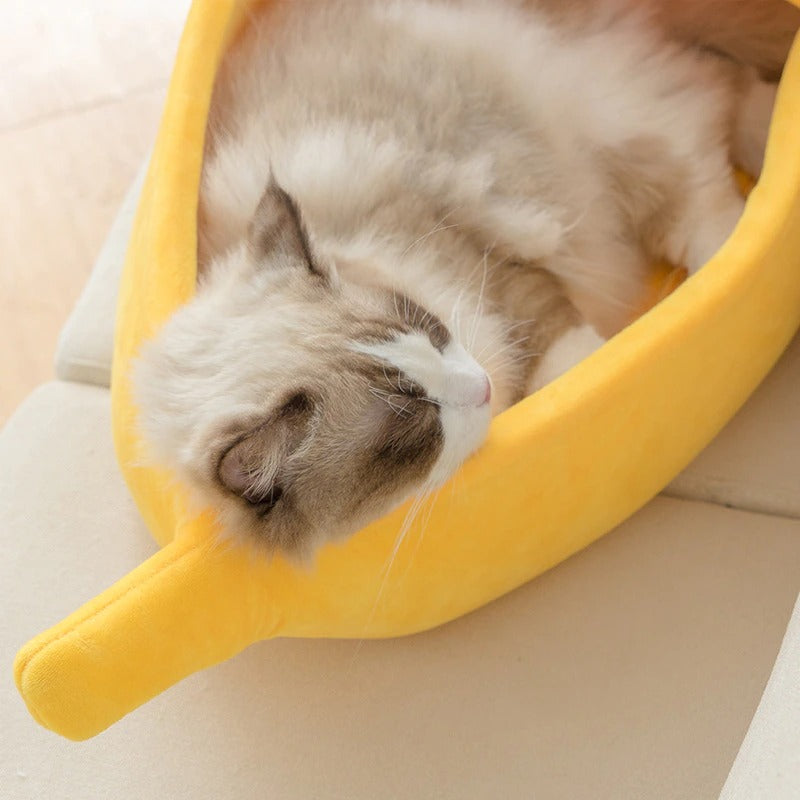 A cat asleep in a yellow banana shaped cat bed