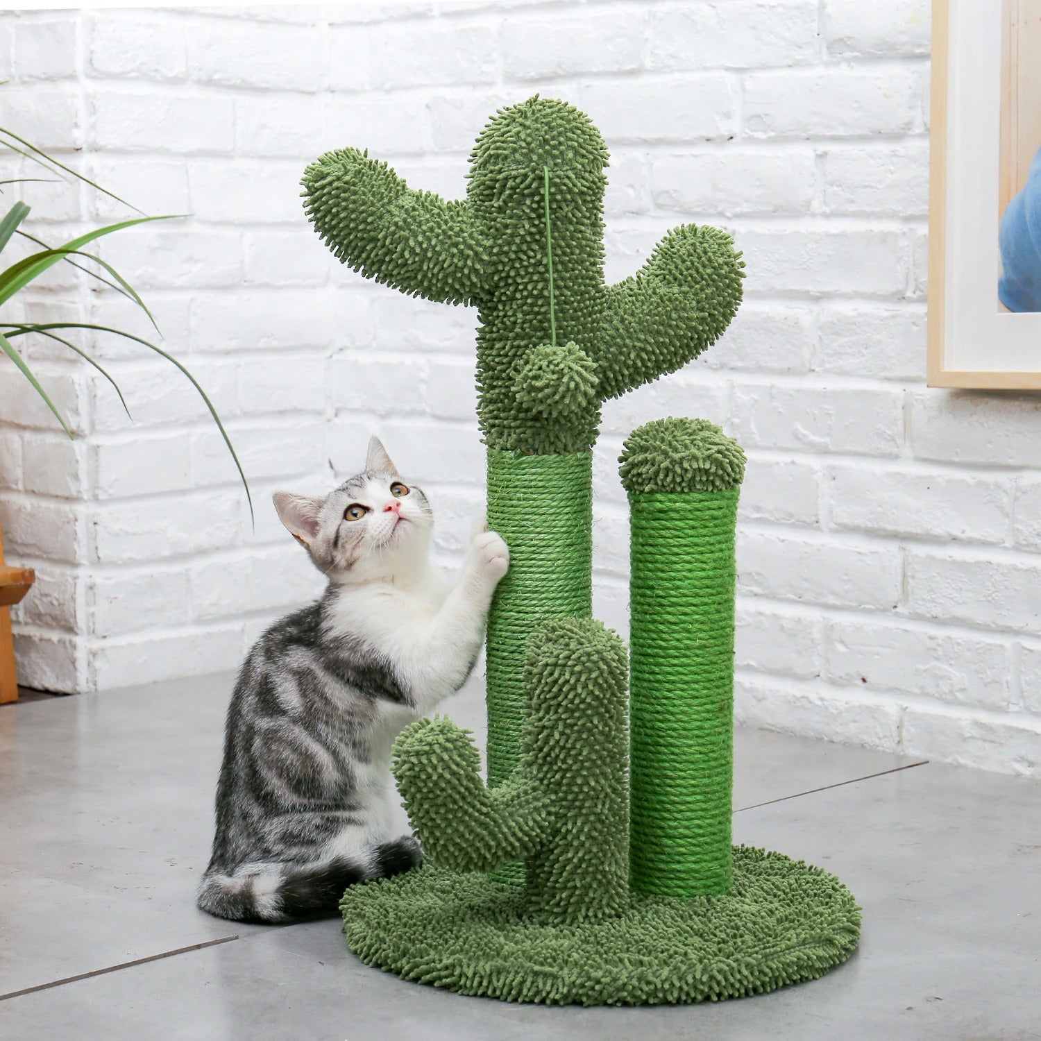 A green cat scratching post which looks like a cactus. A grey and white kitten is sharpening its claws on the cactus.