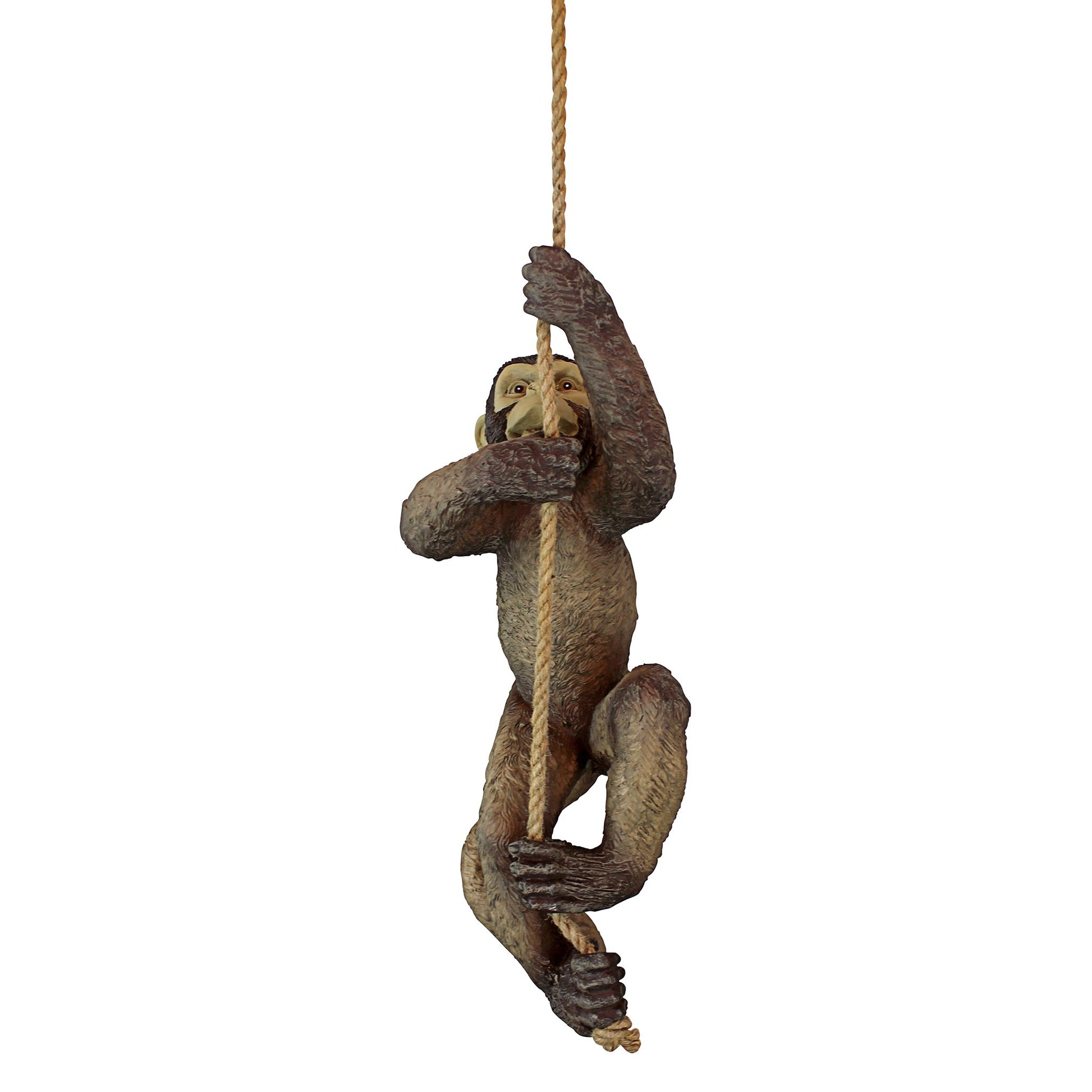 Front view of a fake monkey made from resin climbing up a rope on a white background