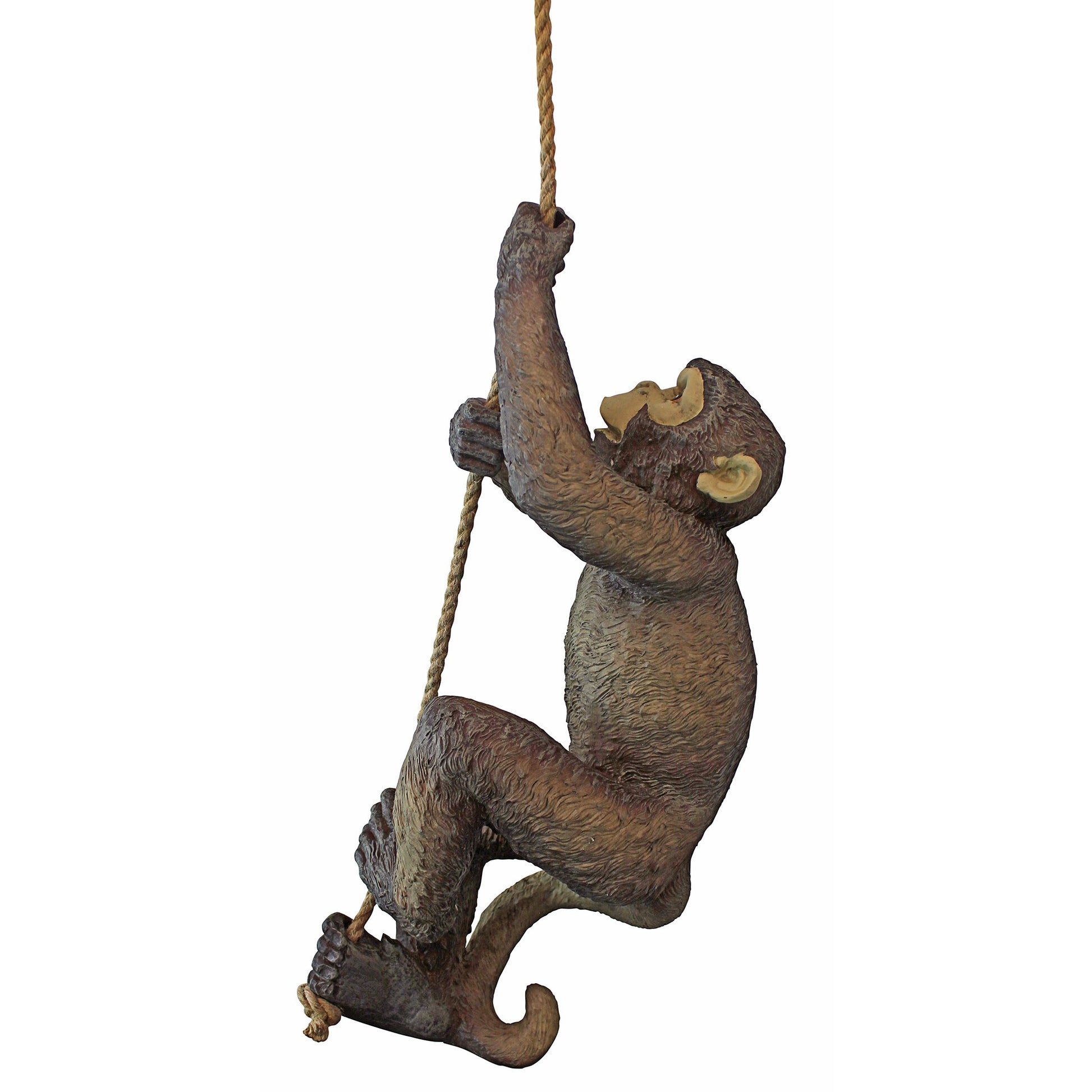 Left hand facing fake monkey made from resin climbing up a rope on a white background