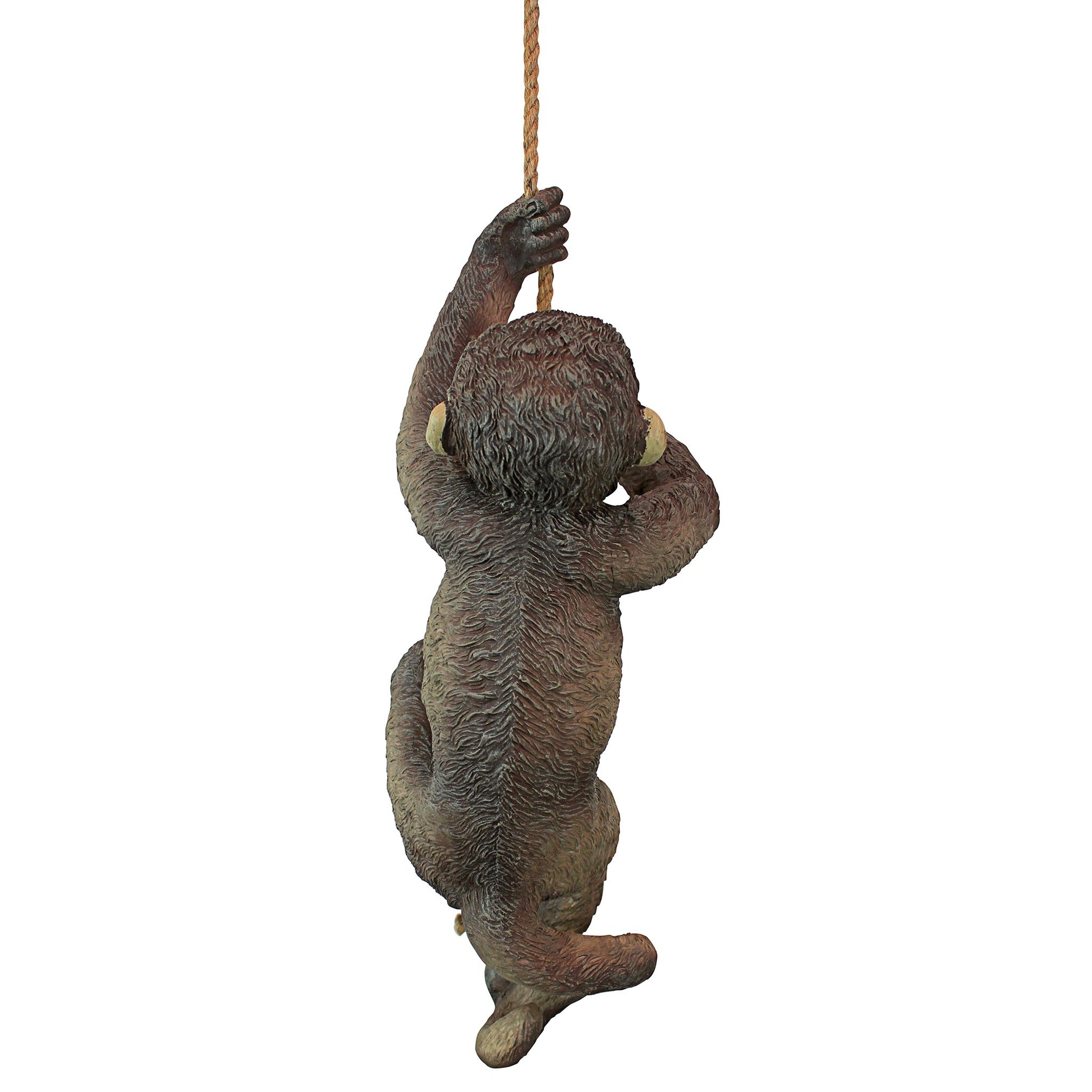 Back view of a fake monkey made from resin climbing up a rope on a white background