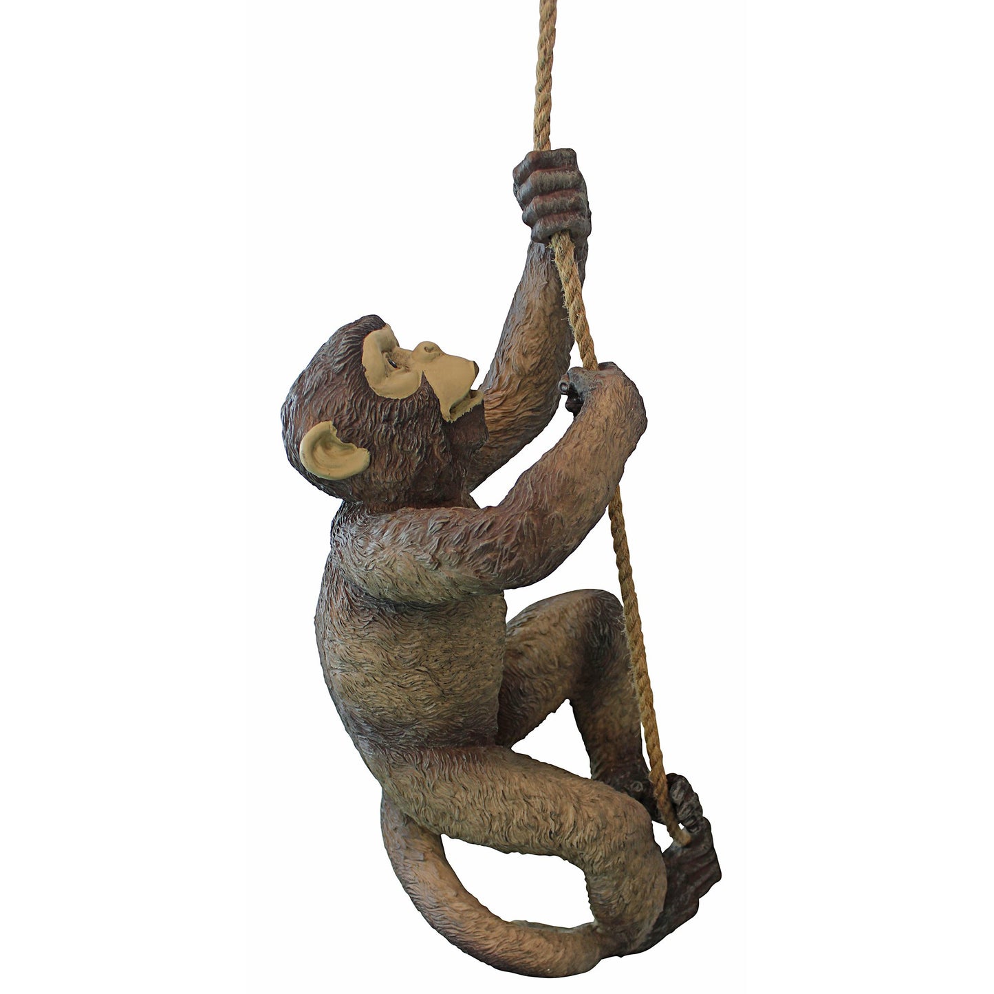 Right hand facing fake monkey made from resin climbing up a rope on a white background