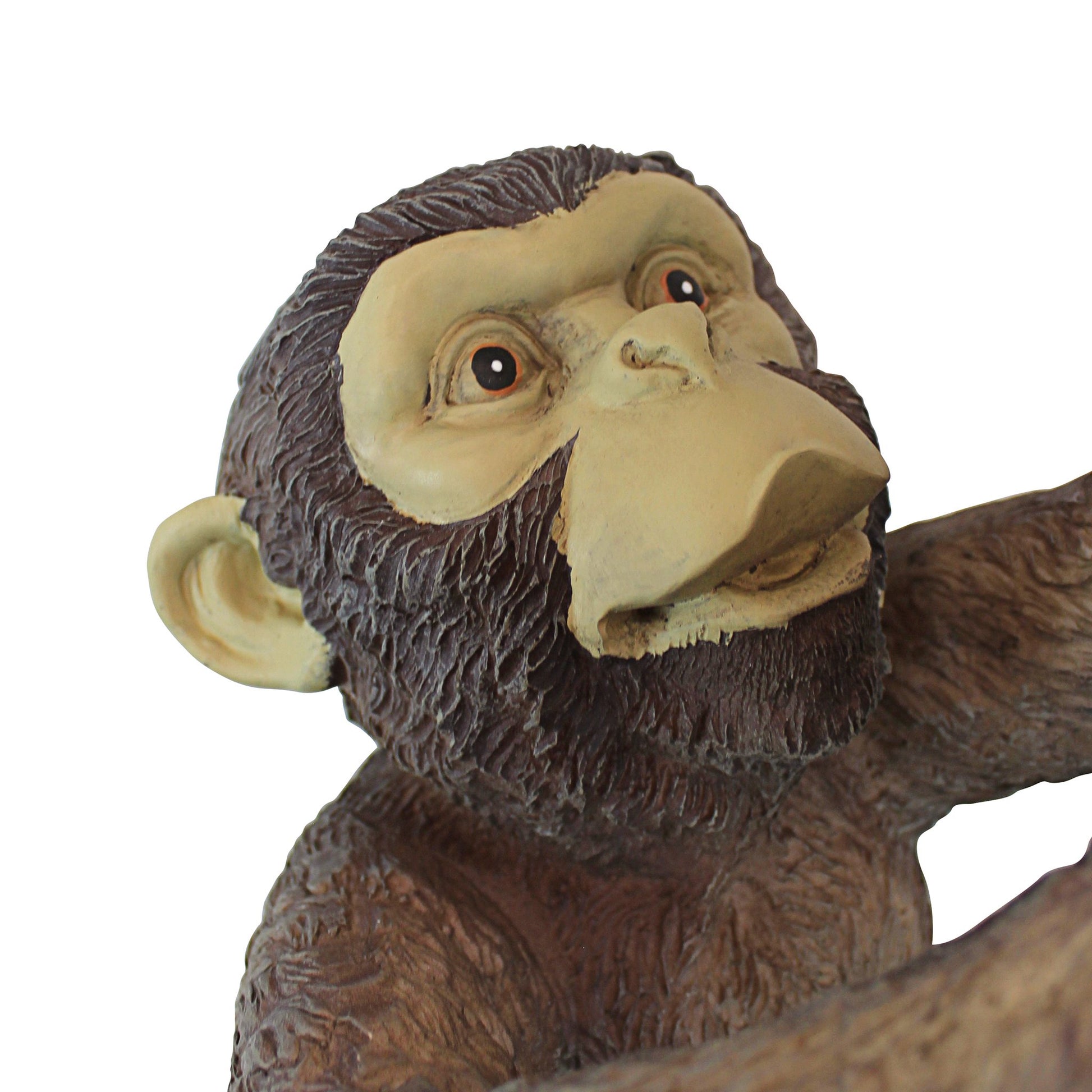 Close up view of the face of a monkey made from resin