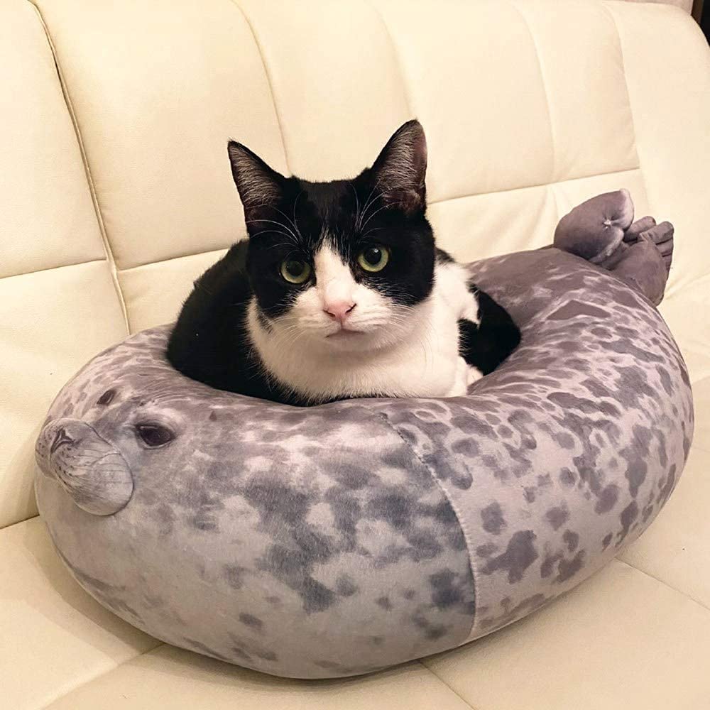 A cat sitting on top of a seal pillow