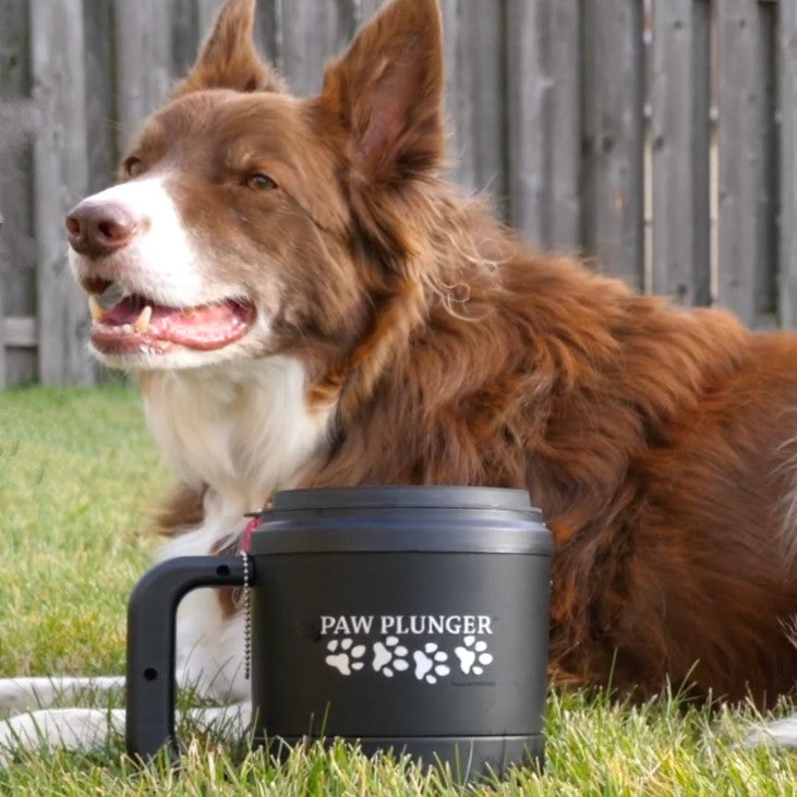 A black paw plunger dog paw cleaner placed in front of a brown dog on a grassy lawn.