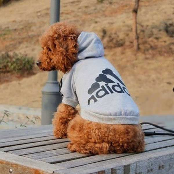 Adidog Dog Hoodie - OddGifts.com