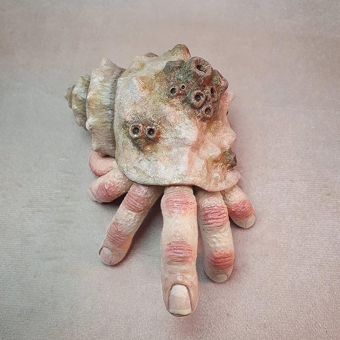 A view from above of a creepy finger crab sculpture which looks like a hermit crab. Human fingers are coming out of the shell instead of a crab. 