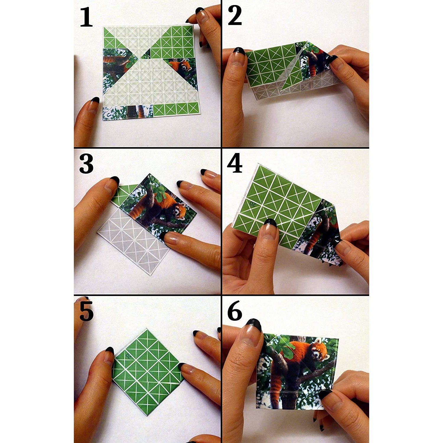 Six steps are shown as to how to complete one of the puzzles from Foldology.