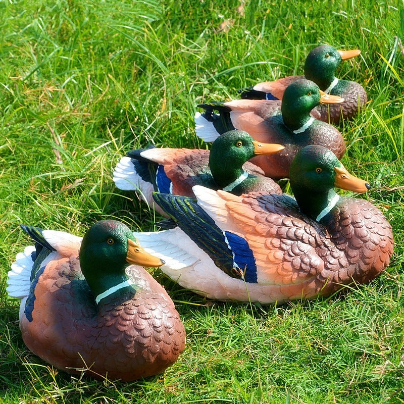 Five decorative resin duck statues laid out on a lawn.