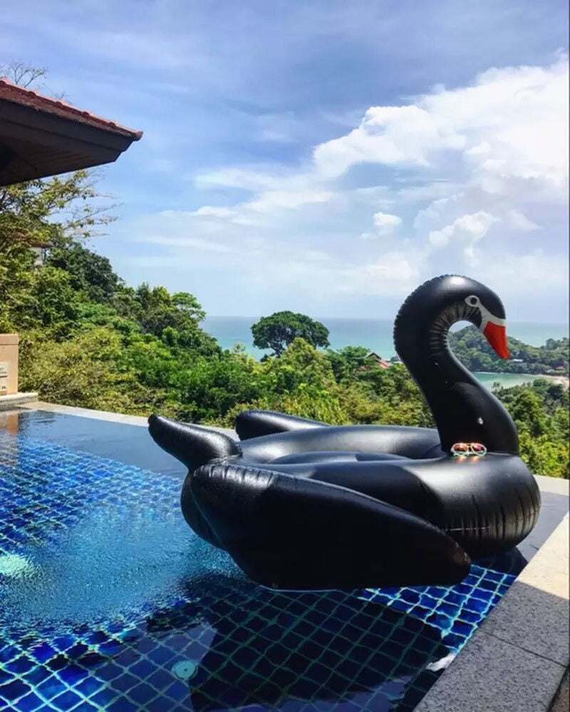 A giant black swan pool float floating in an infinity pool with trees in the background.