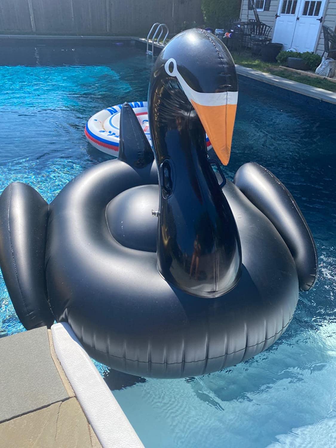 A black swan pool float in a backyard swimming pool.