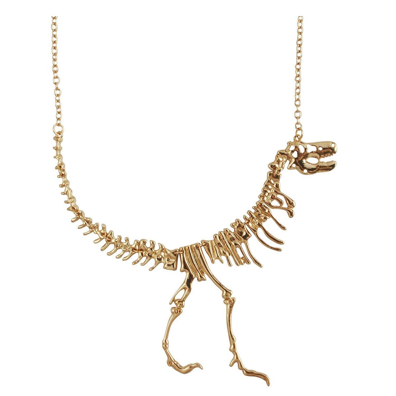 Dinosaur Bone Necklace - OddGifts.com