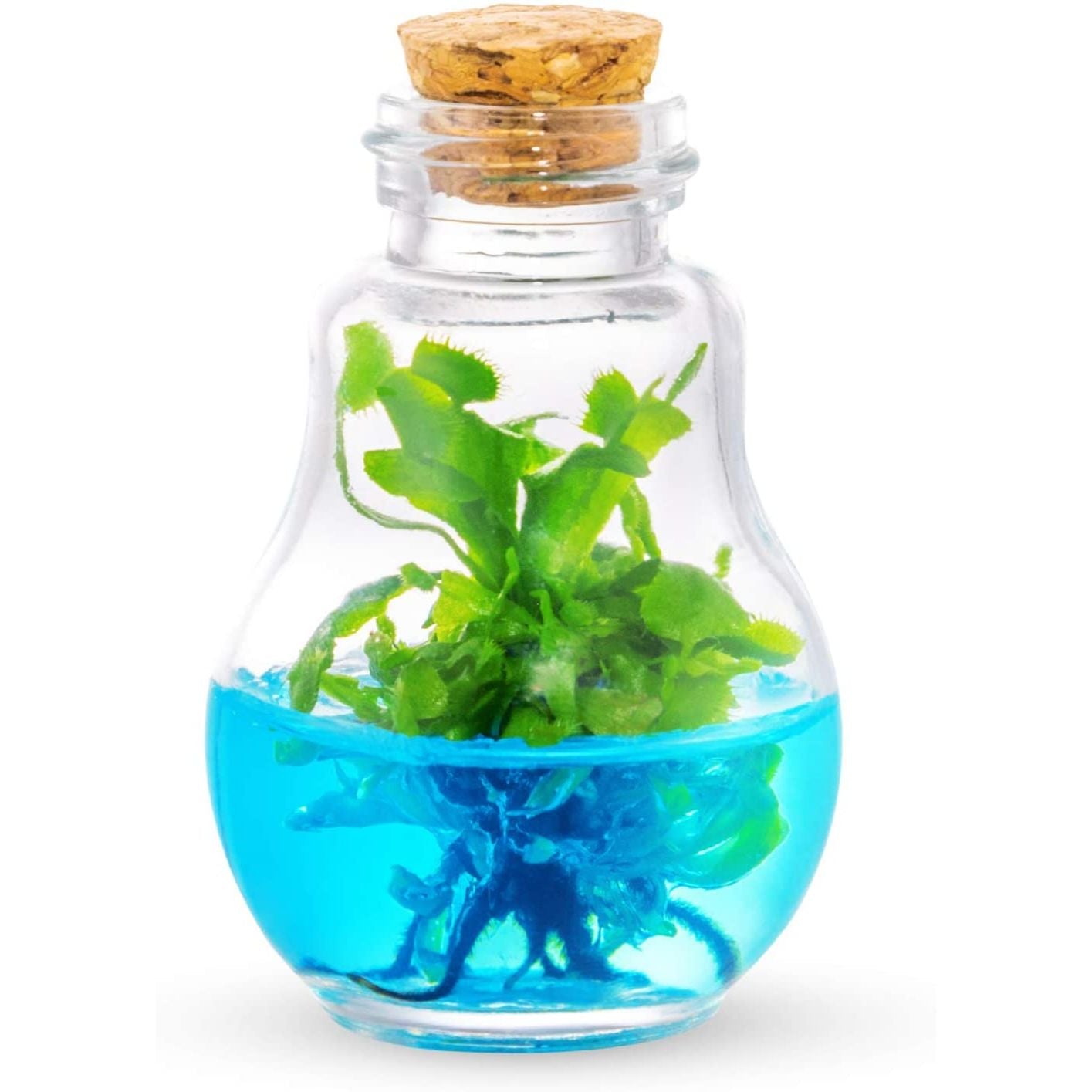 A Venus flytrap in a light bulb shaped self containing terrarium immersed in blue liquid.