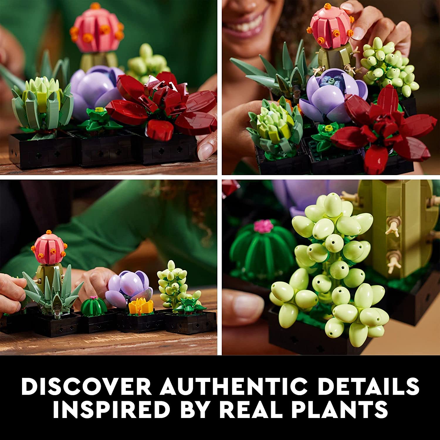 A collage of four photos featuring a Lego succulents building kit for adults.