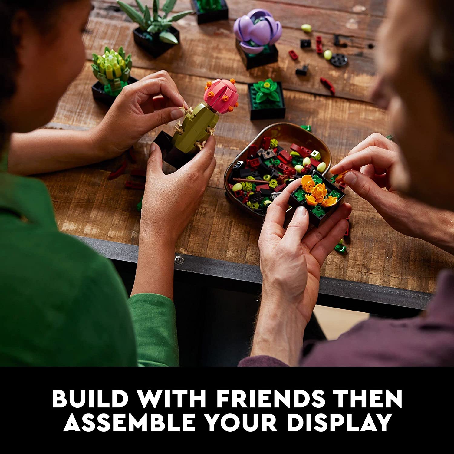 A couple are building a Lego succulents building kit for adults.