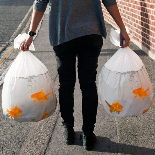 Goldfish Bin Bags - OddGifts.com