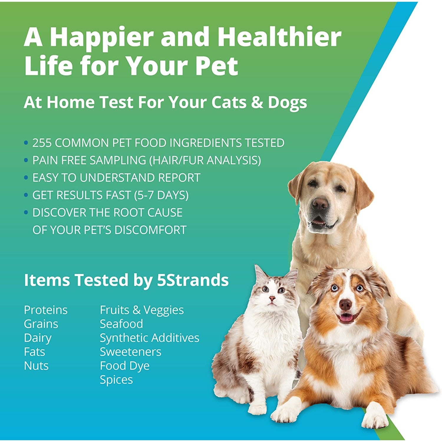 Information about a pet food intolerance test for cats and dogs.