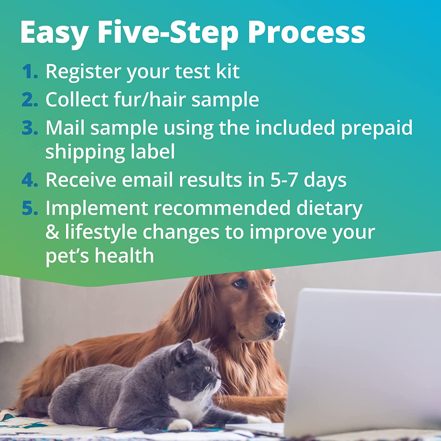 Information about a pet food intolerance test for cats and dogs.