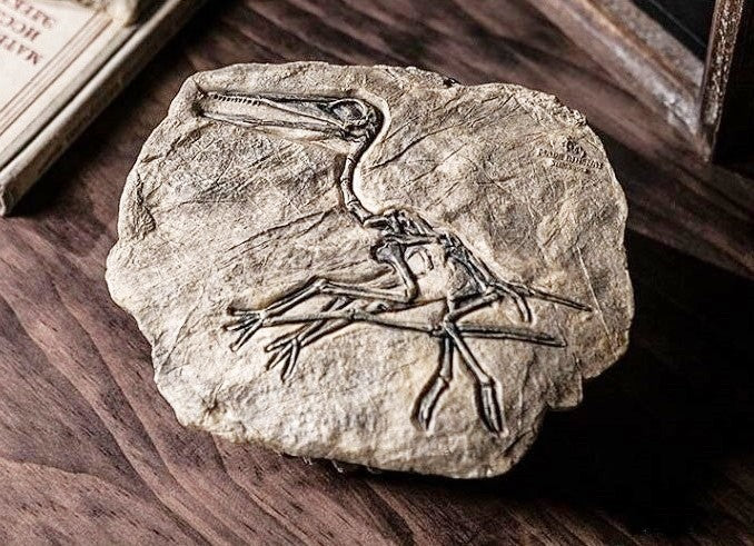 A bird-like resin dinosaur fossil laying on a wooden table.