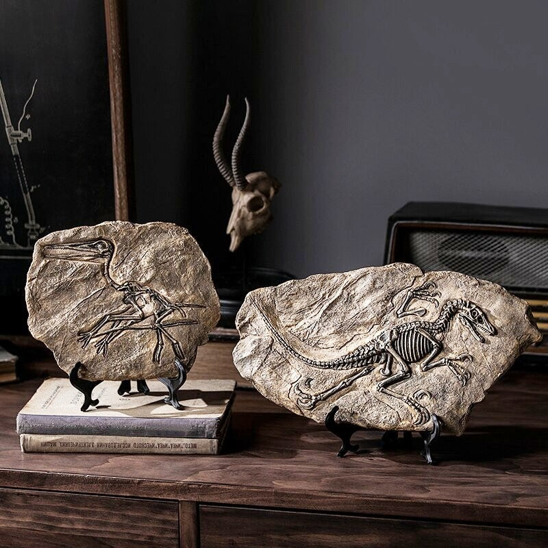 Two resin dinosaur fossils each on a black display stand.