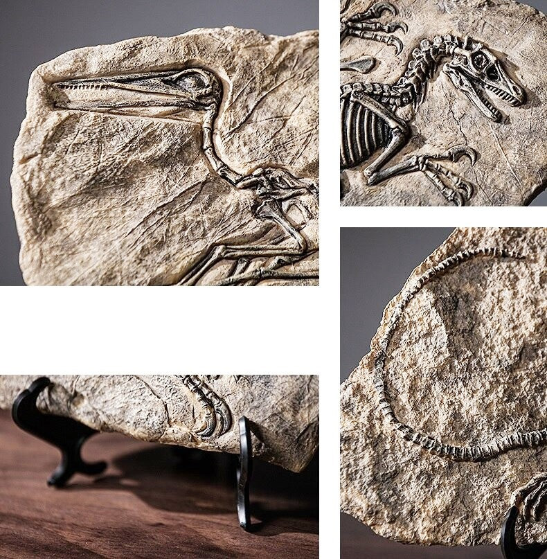 A four image collage of close-up views of resin dinosaur fossils.