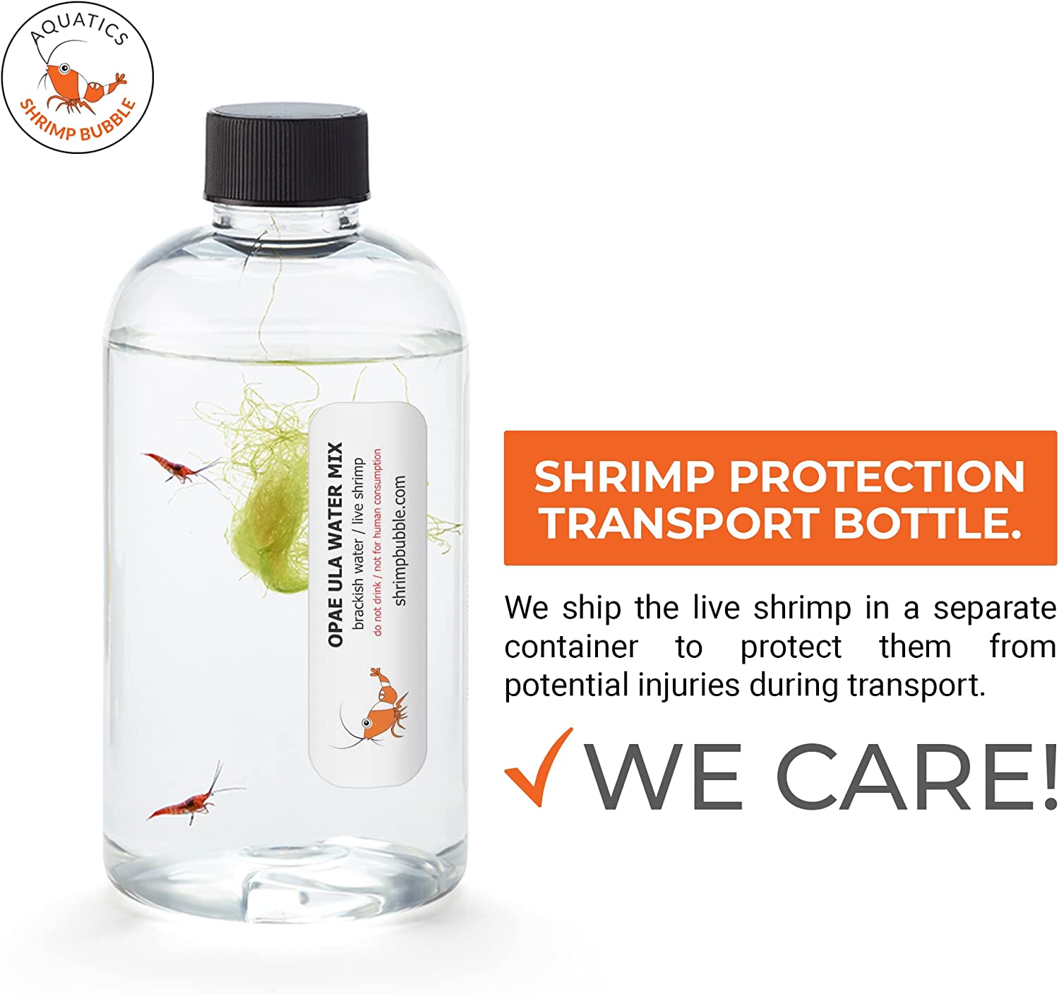 A small clear container containing live shrimp. There is text which says, 'Shrimp protection transport bottle. We ship the live shrimp in a separate container to protect them from potential injuries during transport.'