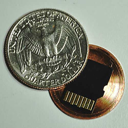 Hidden Safe For SD Card - OddGifts.com