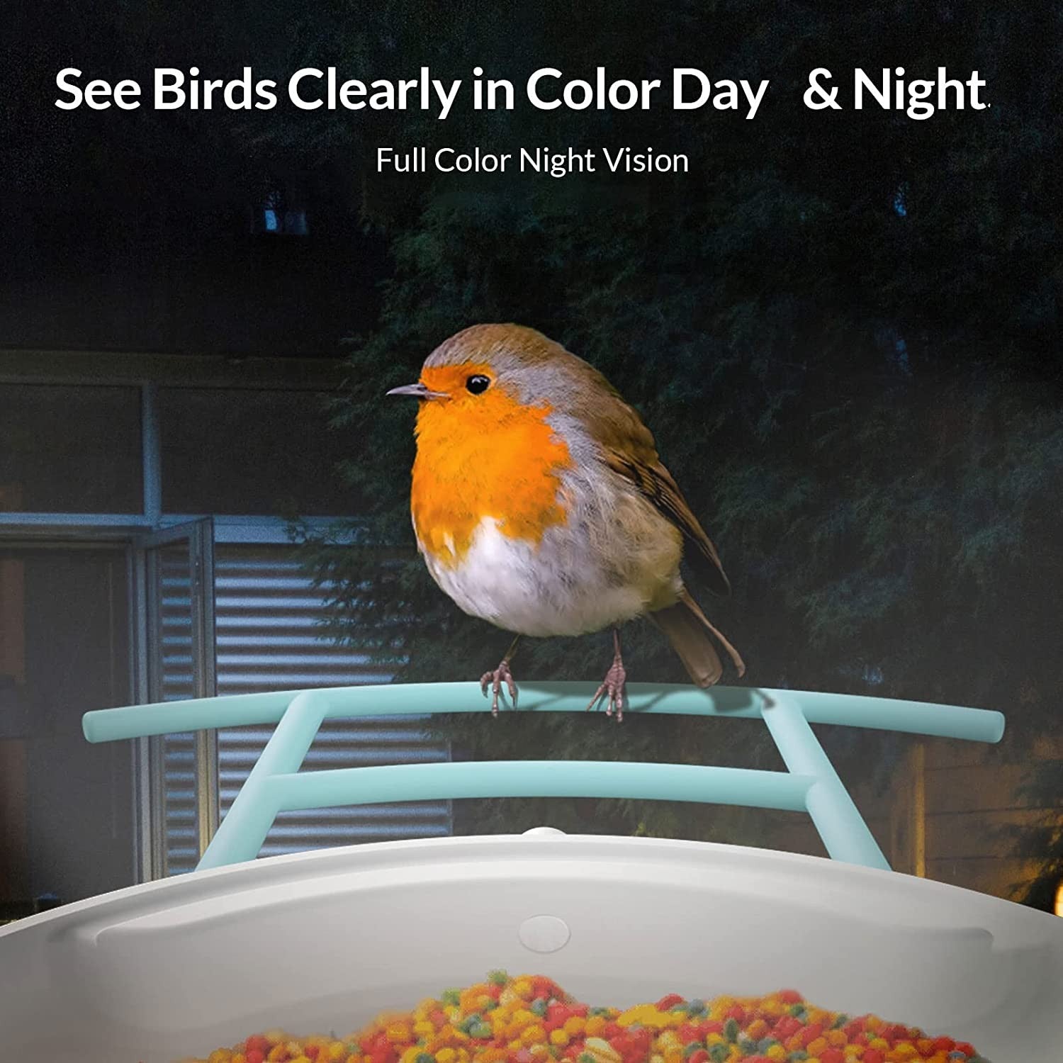 A small bird is sitting on the edge of a bird feeder at night. There is text which reads, 'See birds clearly in color day and night. Full color night vision.'