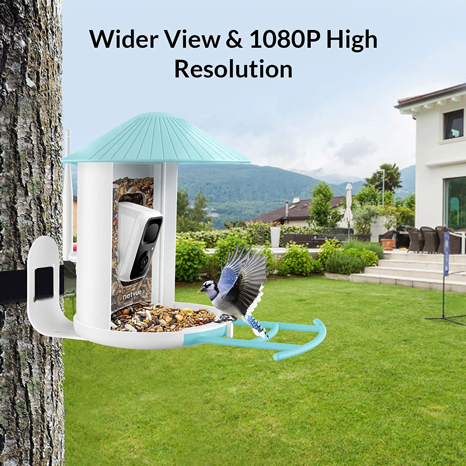A bird is about to land on a smart camera bird feeder which is attached to a tree. There is text which reads, 'Wider view and 1080P high resolution.'