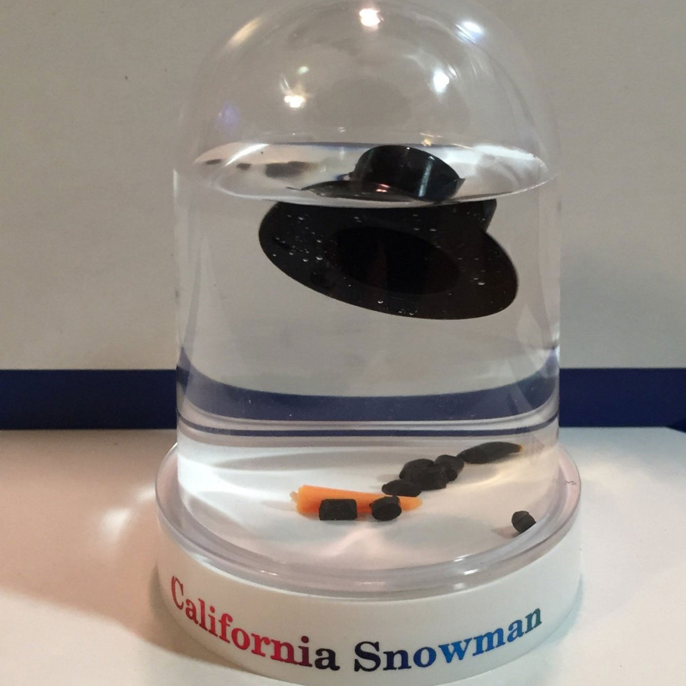 California Snowman Snowglobe - OddGifts.com