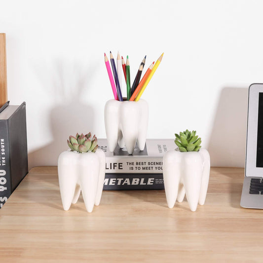 Three tooth shaped planter pots, two of the planters have succulent plants in them while the other has pencil in it.