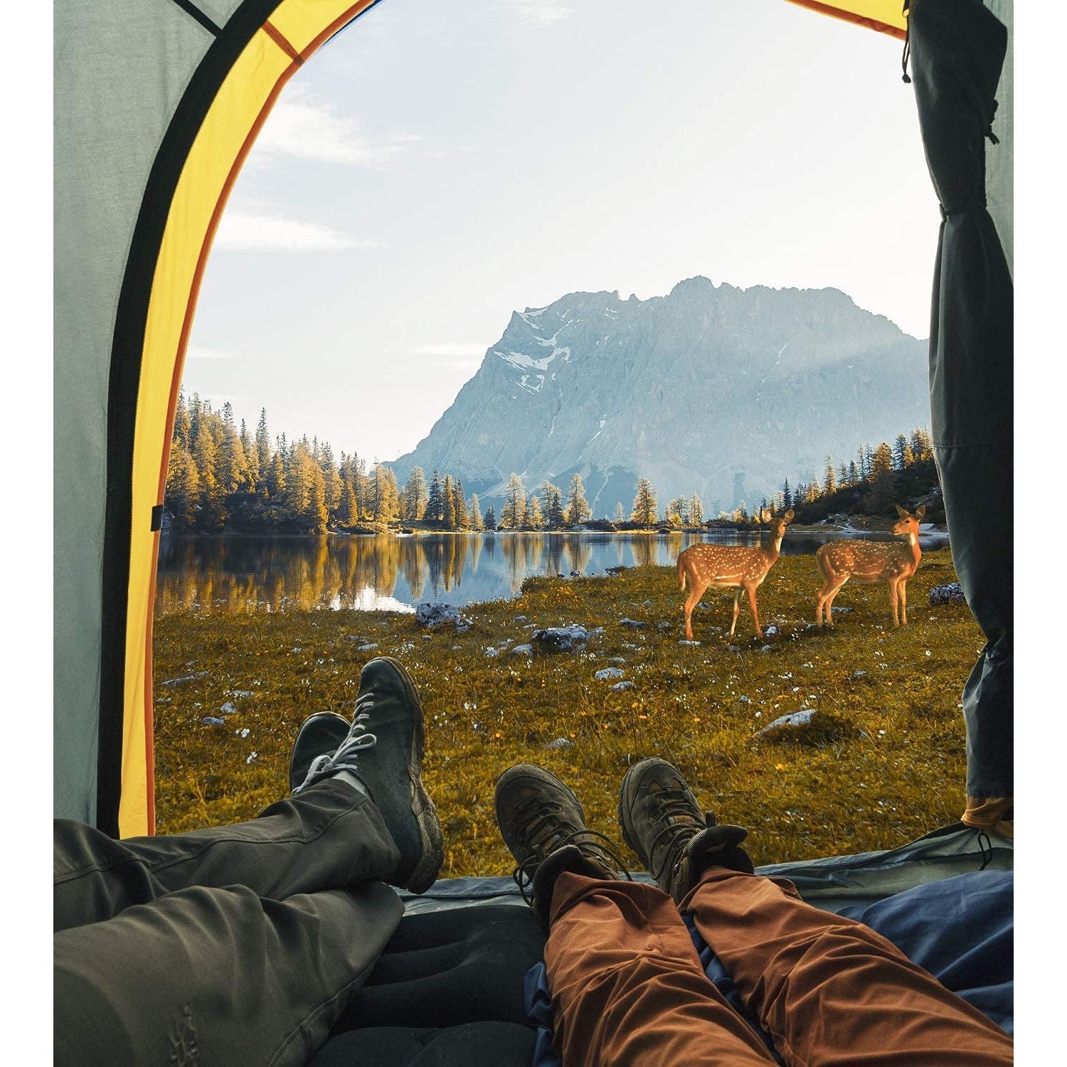 Two people are inside a tent and are watching deers in the wilderness.